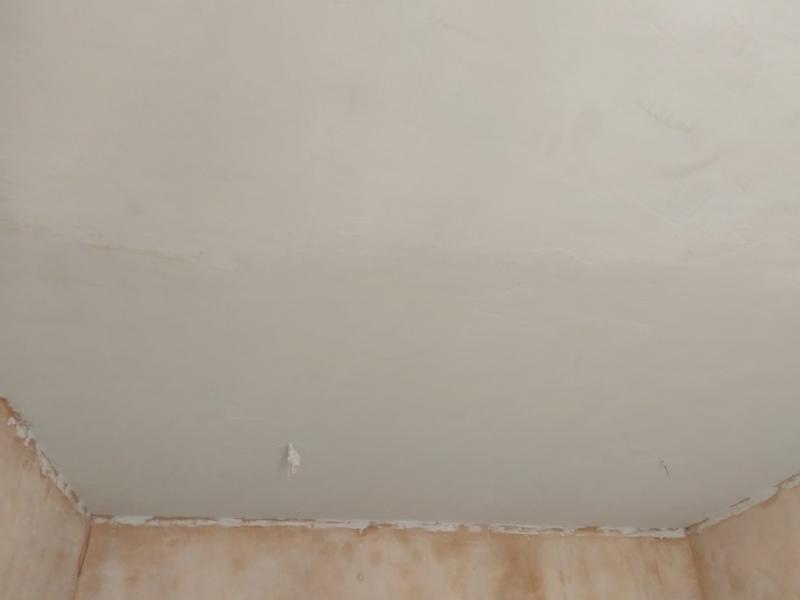 View of the ceiling, now fully plastered white. Around the middle, there's a slight jagged seam where the two days of plastering meet.