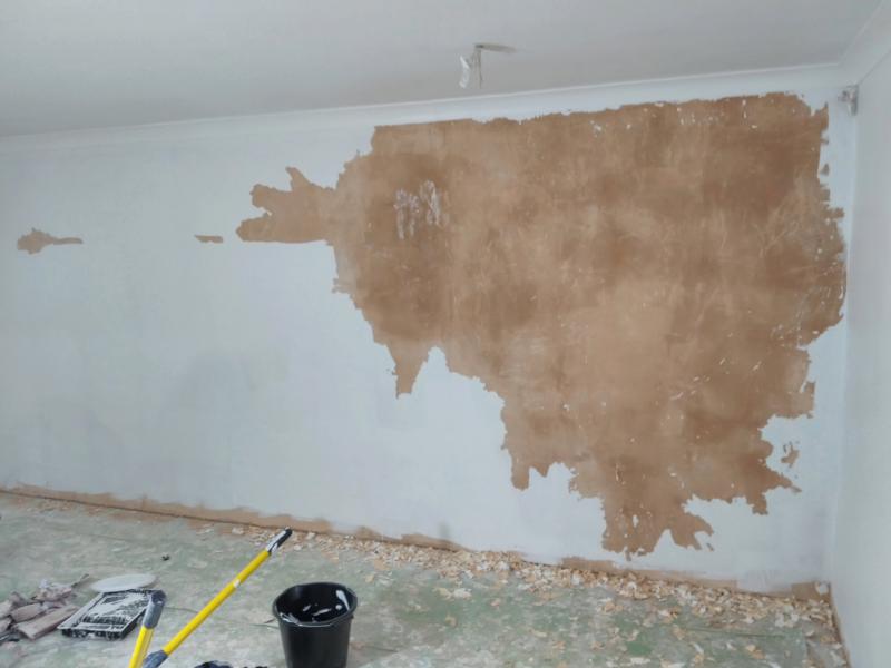 A wall painted white, with e a large area (about 3/5 of the photo) where the paint peeled off the plaster wall, showing the brown plaster behind it. Lots of small paint peels litter the floor next to the wall.